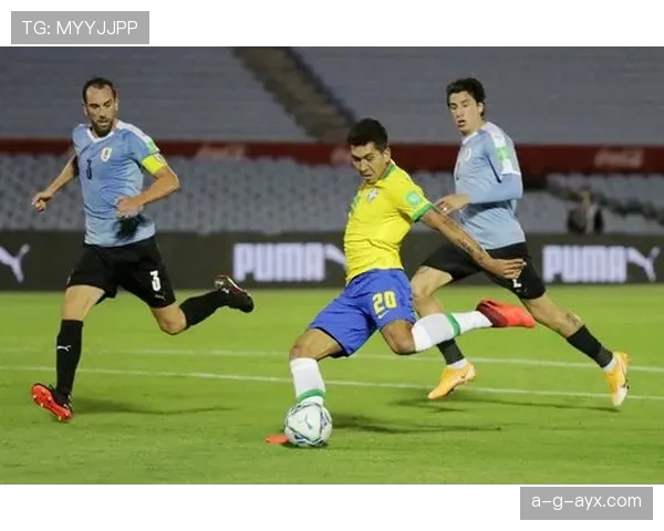 巴西队重塑防守体系，新战术显著提升后防线竞争力