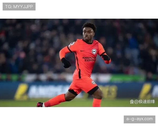 布莱顿持续补强阵容，瞄准潜力新星与经验老将