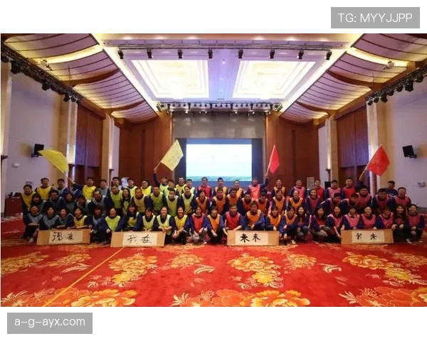 乌迪内斯发布全新发展蓝图,聚焦竞技提升与商业价值增长