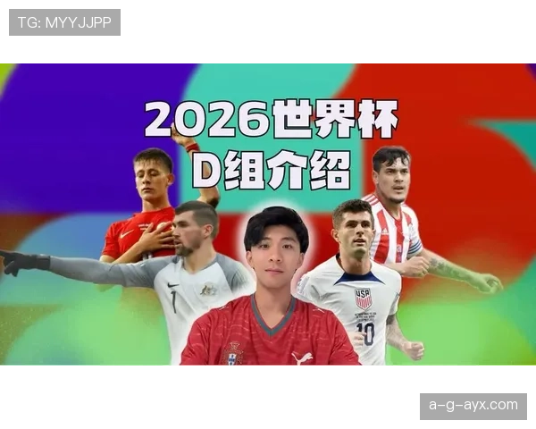 世界杯D组最稳定球队分析